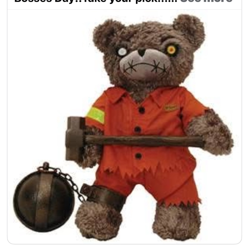 Series 2 Plush Toy with Red Outfit-Teddy Scares…..Granger Evermore